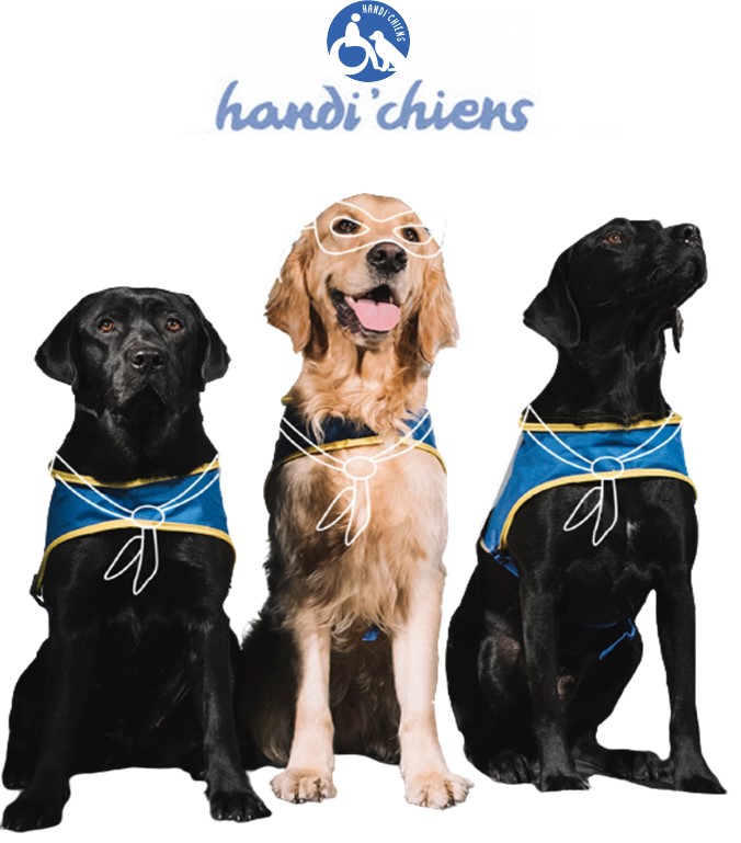 HANDI’CHIENS x FRONTPRO, UN PARTENARIAT SOLIDAIRE SUR LA DUREE